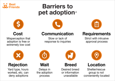 Barriers to pet adoption graphic