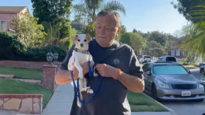 Alice the dog being held by her adopter James