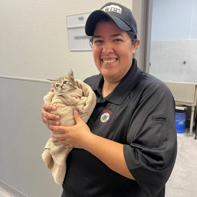 Alpine Animal Services employee holding a kitten wrapped up in a blanket