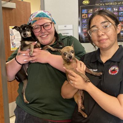 Two Alpine Animal Services holding small dogs