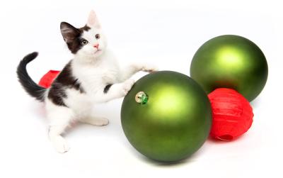 Kitten playing with holiday ornaments