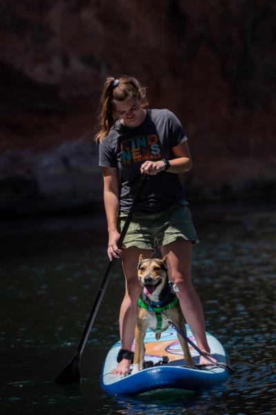 Person and dog on a paddleboard on the water