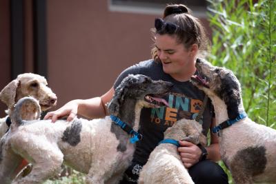Caregiver Anabel Kirk gets some sloppy smooches from Koi and Tang, with Crawfish (on the left) eagerly  waiting for his turn