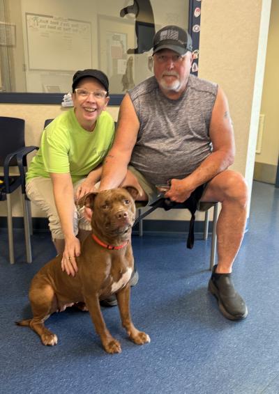 Ariel the dog with her adopters