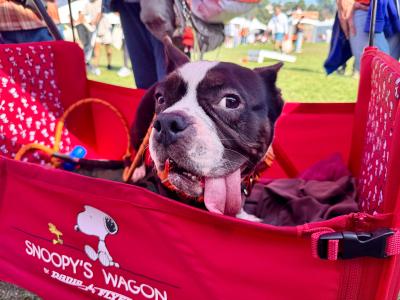 Arroyo rolls away with her new adoptive family