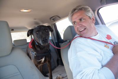 Smiling person in front seat of vehicle looking at a dog in the back seat