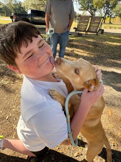 Claire the dog licking the face of a child