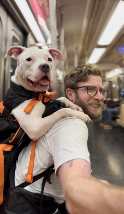 Bryan Reisberg with a large white dog in the backpack on his back