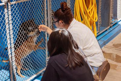 Two people squatting down to interact with a puppy who is standing up in his kennel
