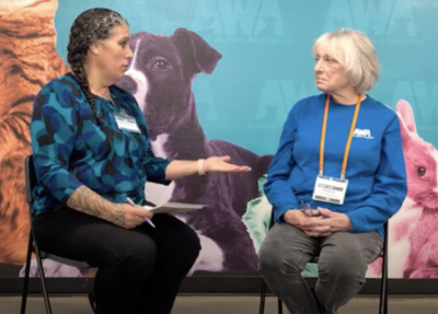 Clinic manager Ryan and Paula announce 1000th cat surgery