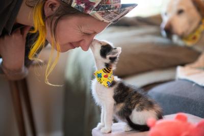 Person wearing a hat nose-to-nose with a kitten wearing a bandana with a dog in the background