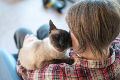 Cat lying on the shoulder of a person who is sitting