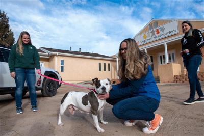 Meeting Bella, the dog who epitomized resilience