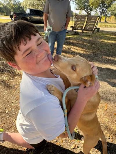Tilly the dog meeting her new family for the first time and licking the boy's face