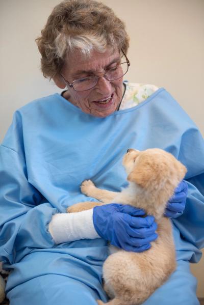 Volunteer Betty Grieb holding a small blond puppy on her lap