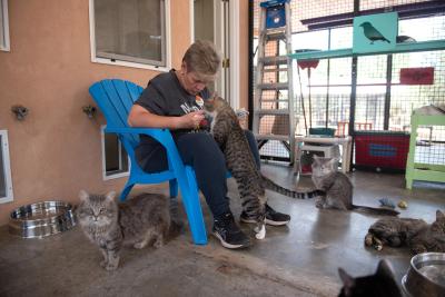 Volunteer sitting on a chair with a cat standing up with front paws in her lap