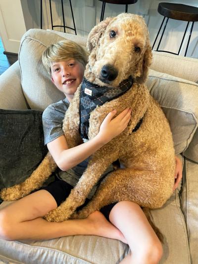 Bentley the dog sitting on a smiling boy's lap