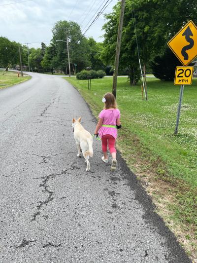 Child walking down a road next to Hanz the dog