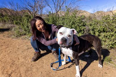Orion the dog with Nanami Bombassei
