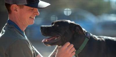 A profile of a man wearing a baseball-style hat, smiling and looking at a black Labrador type dog wearing a green collar