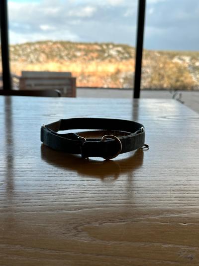 Shadow the dog's collar on a table in front of a window