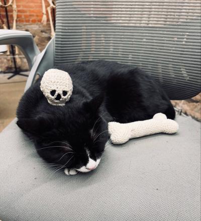 Bone Jovi the cat sleeping on a chair with a crocheted skull on him and crocheted bone beside him