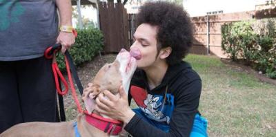Tan and white pit-bull-type dog giving a kiss to a man who's hugging the dog