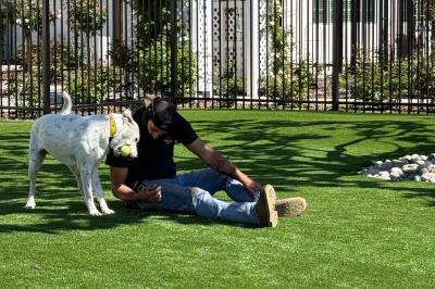 Ayla the dog plays with a resident
