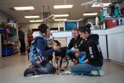 Brook the dog in the clinic surrounded by three people petting him