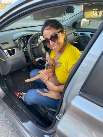 Person in a vehicle holding a small brown puppy