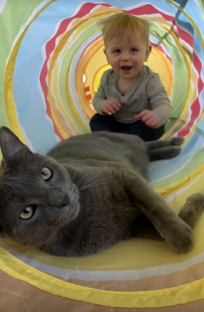 Bruce the cat and Ollie in a crinkle tunnel together
