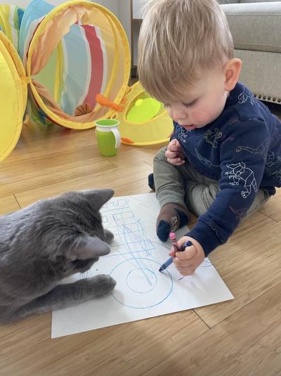 Bruce the cat watching Ollie draw with a crayon