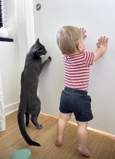 Ollie's hands and Bruce's paws on a wall standing next to each other