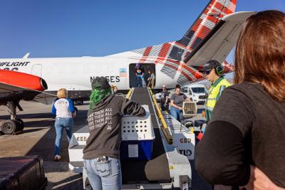 Group of people helping transport crates containing cats and dogs onto a plane during the Los Angeles wildfires