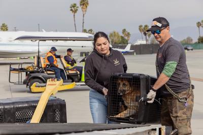 Two people loading a dog in a crate as part of a transport