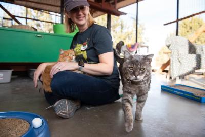 Smiling volunteer sitting with two cats