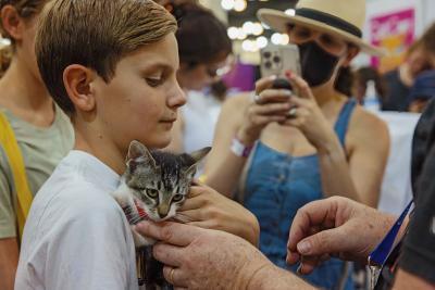 Kid holding a tabby and white kitten while another person takes a cell phone photo of them