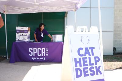 'Cat Help Desk' sign in front of SPCA of Texas table