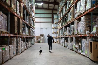 Krueger the cat walking next to a person in the warehouse
