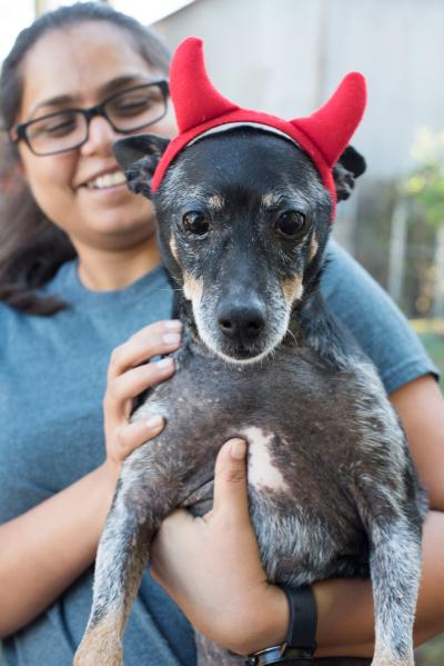 Smiling person holding a small dog wearing devil's horns