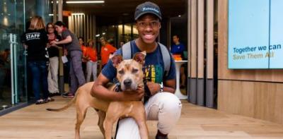 A man kneeling on the floor with a tan dog at the Best Friends Lifesaving Center in New York City