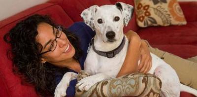 Black and white dog with woman on red couch