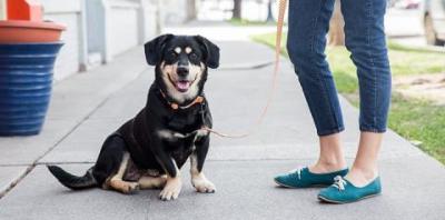 Community Foundations