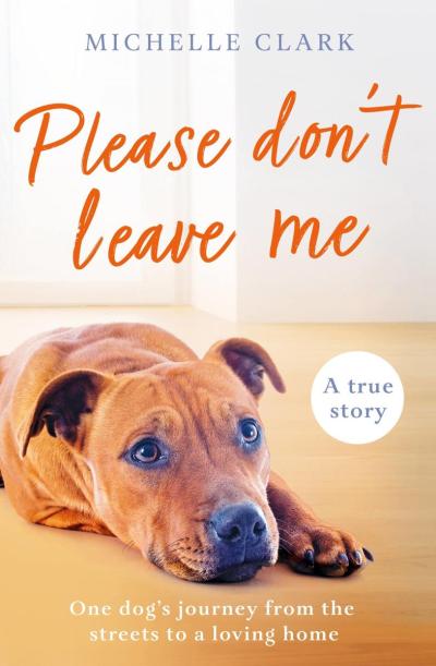 Cover of the book, "Please Don’t Leave Me" by Michelle Clark