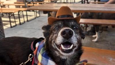 Henry in his best cowboy attire