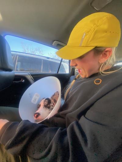 Cricket the dog in a protective collar next to a person in a vehicle