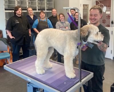 Dog grooming class at Crossroads Campus