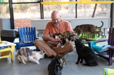 Person sitting on the ground surrounded by cats and small colorful chairs