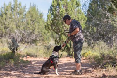 Danica the dog sitting for a treat