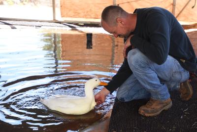 Person kneeling down to pet a duck in a pond